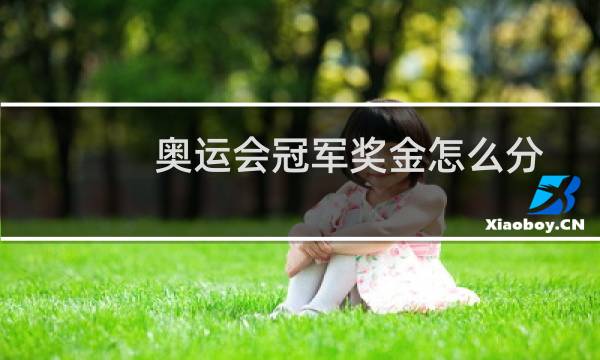 奥运会冠军奖金怎么分图片
