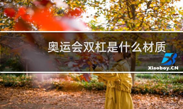 奥运会双杠是什么材质图片