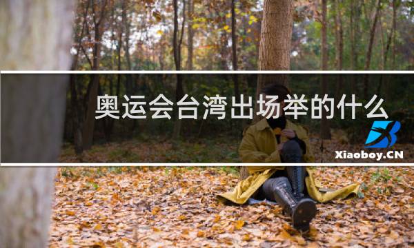 奥运会台湾出场举的什么图片
