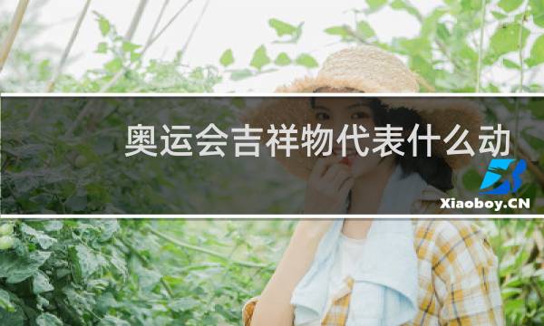 奥运会吉祥物代表什么动物图片