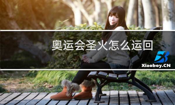 奥运会圣火怎么运回图片