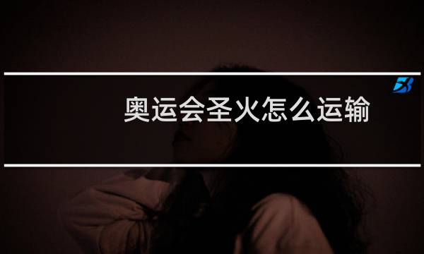 奥运会圣火怎么运输图片