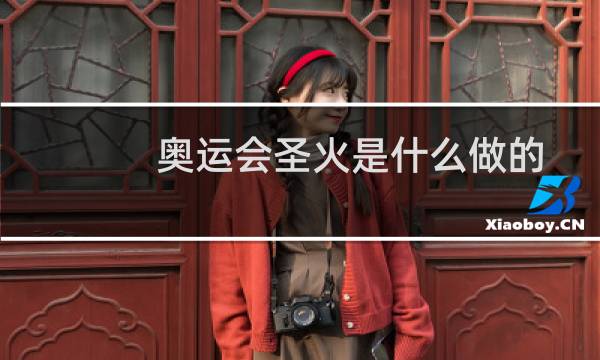 奥运会圣火是什么做的图片