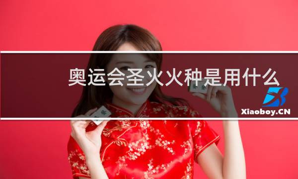 奥运会圣火火种是用什么镜取得的图片