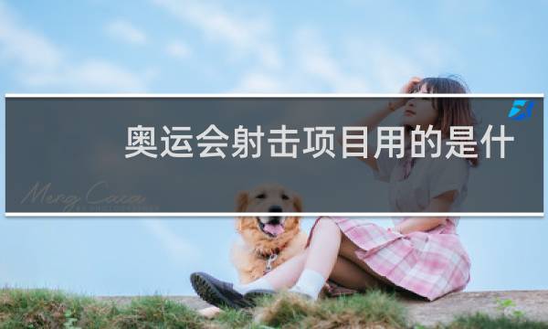 奥运会射击项目用的是什么枪图片