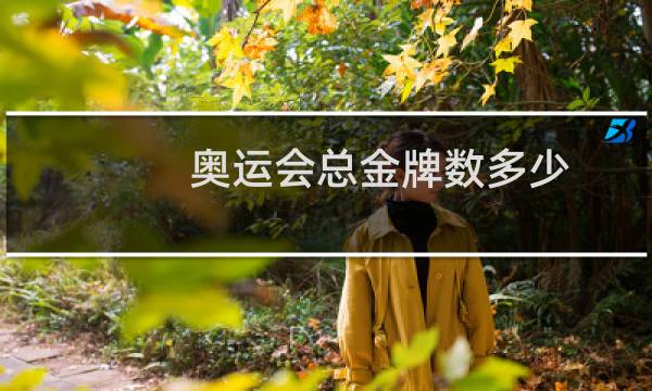 奥运会总金牌数多少图片