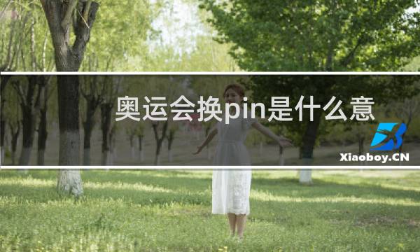 奥运会换pin是什么意思图片