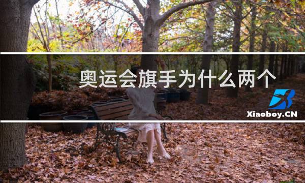 奥运会旗手为什么两个图片