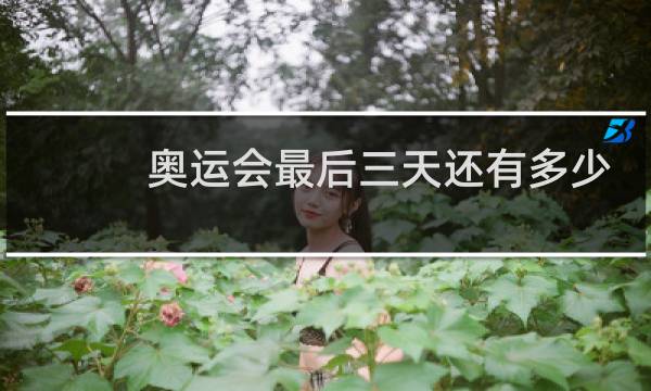 奥运会最后三天还有多少金牌图片