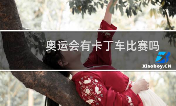 奥运会有卡丁车比赛吗图片