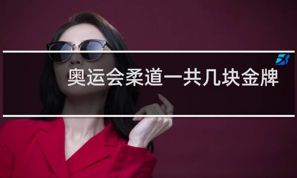奥运会柔道一共几块金牌图片