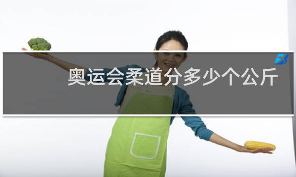 奥运会柔道分多少个公斤级别图片