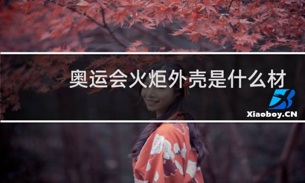 奥运会火炬外壳是什么材料图片