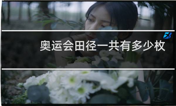 奥运会田径一共有多少枚金牌图片