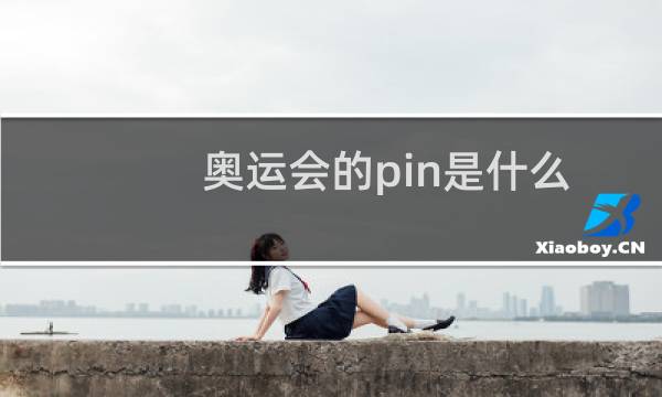 奥运会的pin是什么图片