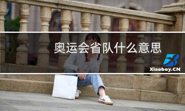 奥运会省队什么意思图片