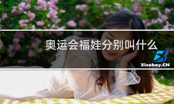 奥运会福娃分别叫什么图片