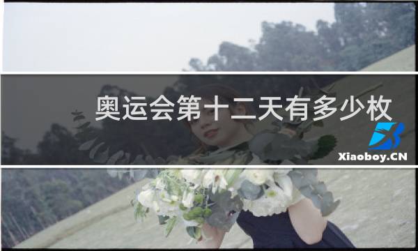 奥运会第十二天有多少枚金牌图片