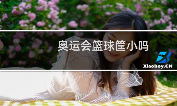 奥运会篮球筐小吗图片
