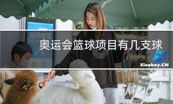 奥运会篮球项目有几支球队图片