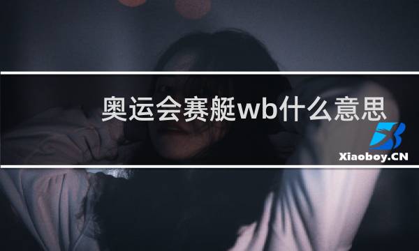 奥运会赛艇wb什么意思图片