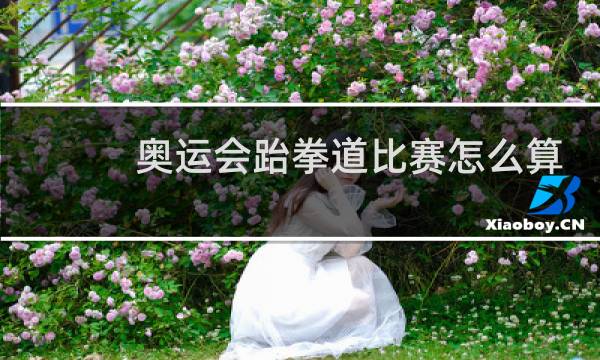 奥运会跆拳道比赛怎么算赢图片