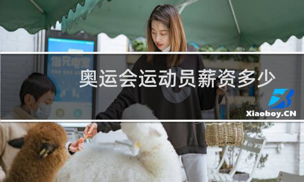 奥运会运动员薪资多少图片