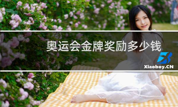 奥运会金牌奖励多少钱图片