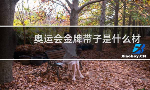 奥运会金牌带子是什么材质图片