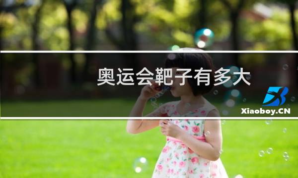 奥运会靶子有多大图片