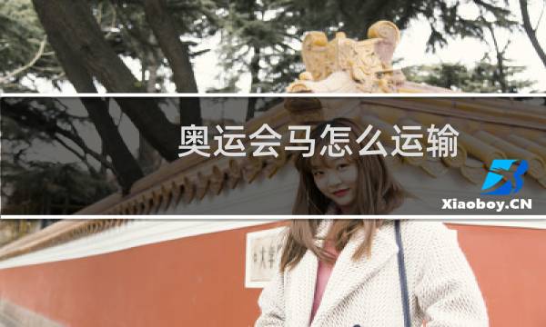 奥运会马怎么运输图片