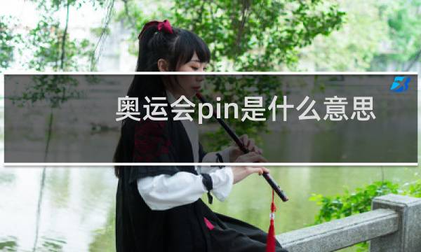 奥运会pin是什么意思图片