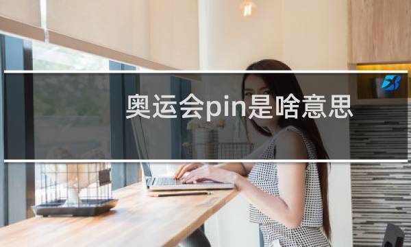 奥运会pin是啥意思图片