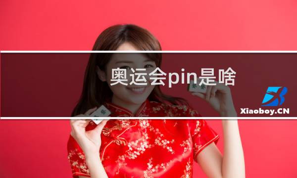 奥运会pin是啥图片