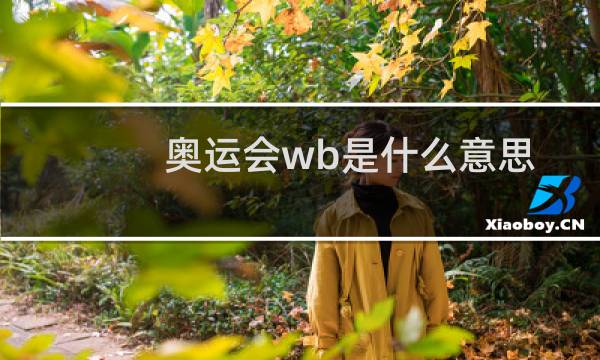 奥运会wb是什么意思图片