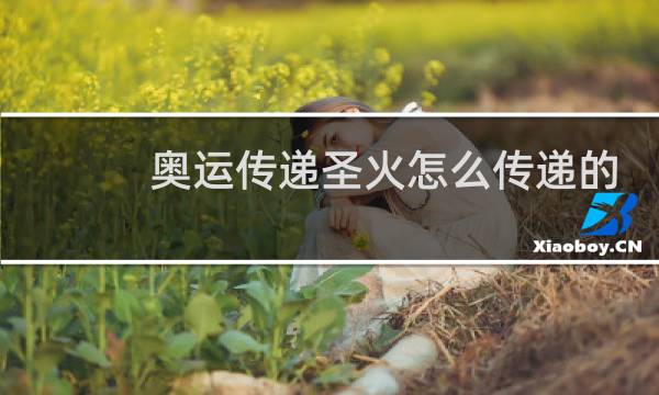 奥运传递圣火怎么传递的图片