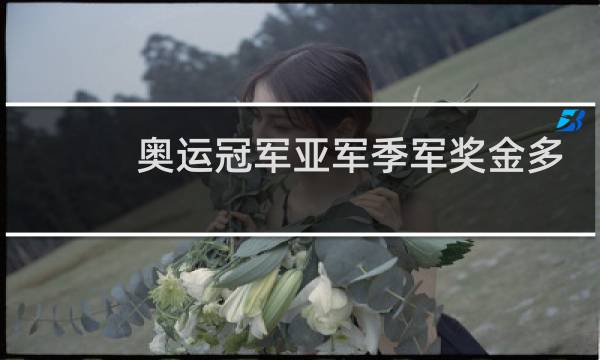 奥运冠军亚军季军奖金多少钱图片