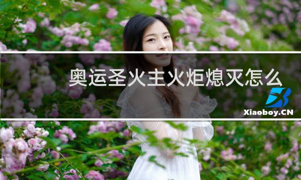 奥运圣火主火炬熄灭怎么办图片