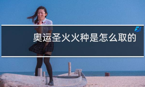 奥运圣火火种是怎么取的图片