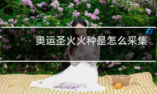 奥运圣火火种是怎么采集的图片