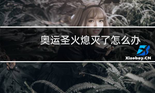 奥运圣火熄灭了怎么办图片