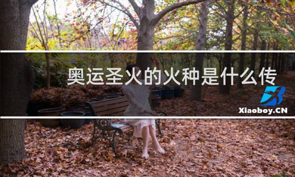 奥运圣火的火种是什么传递的图片