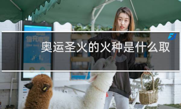 奥运圣火的火种是什么取得的图片