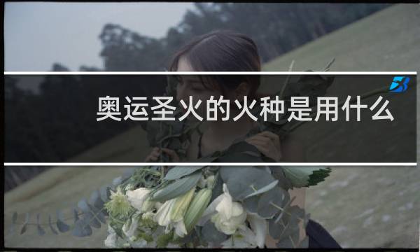 奥运圣火的火种是用什么取得图片