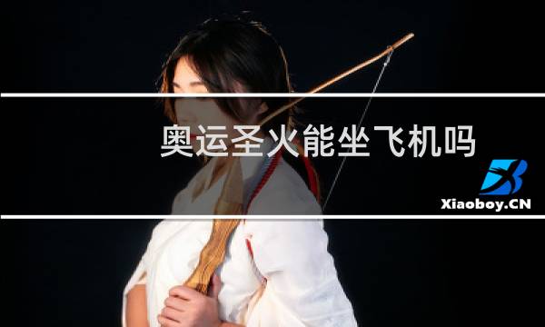 奥运圣火能坐飞机吗图片