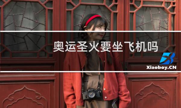 奥运圣火要坐飞机吗图片