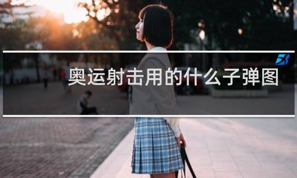 奥运射击用的什么子弹图片图片