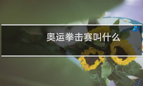 奥运拳击赛叫什么图片