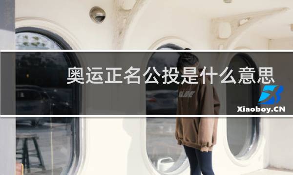 奥运正名公投是什么意思图片