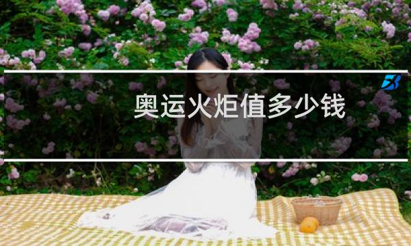 奥运火炬值多少钱图片